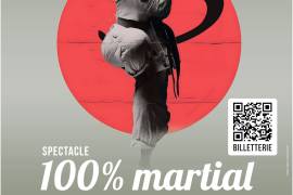 Nuit des arts martiaux 2026